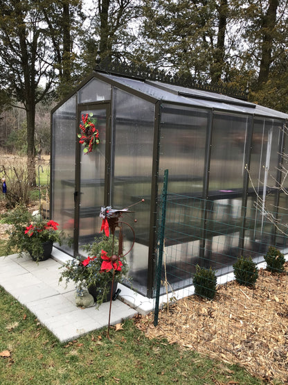 Palmetto Greenhouse 8' x 10'
